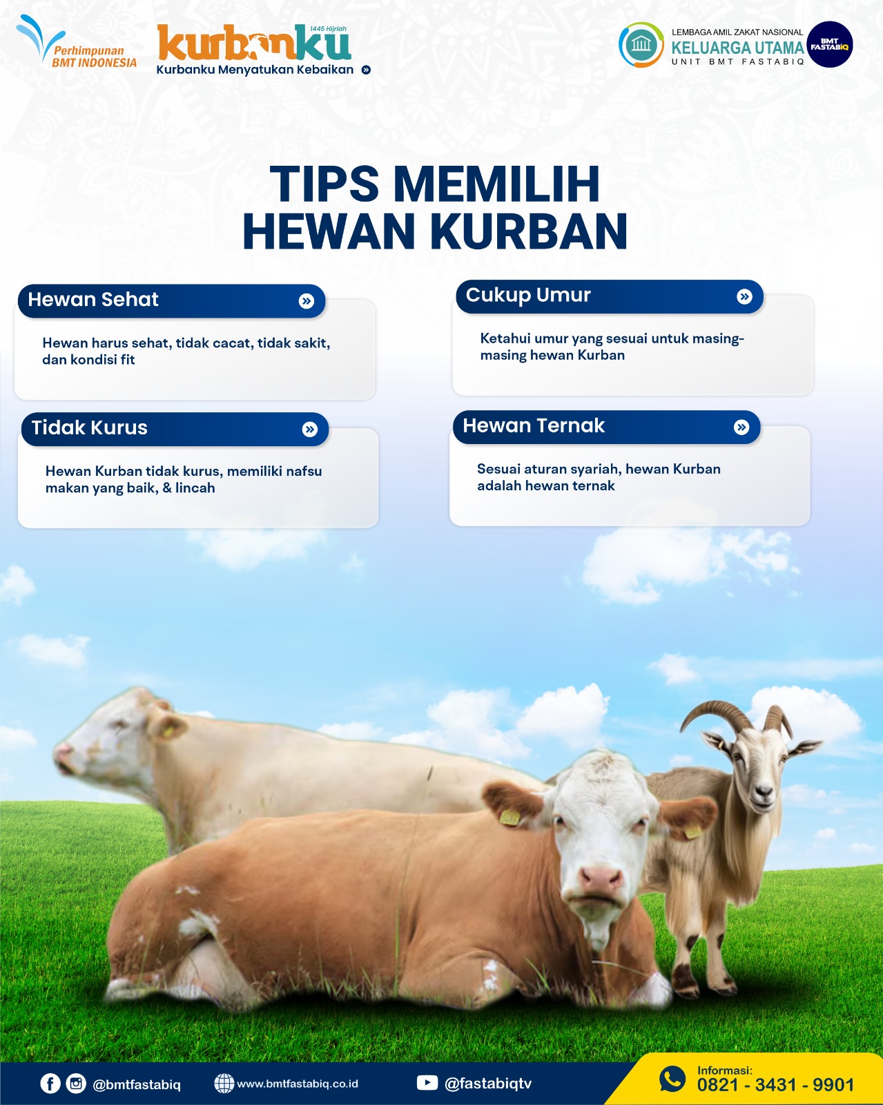 Tips Cara Memilih Hewan Kurban yang Baik